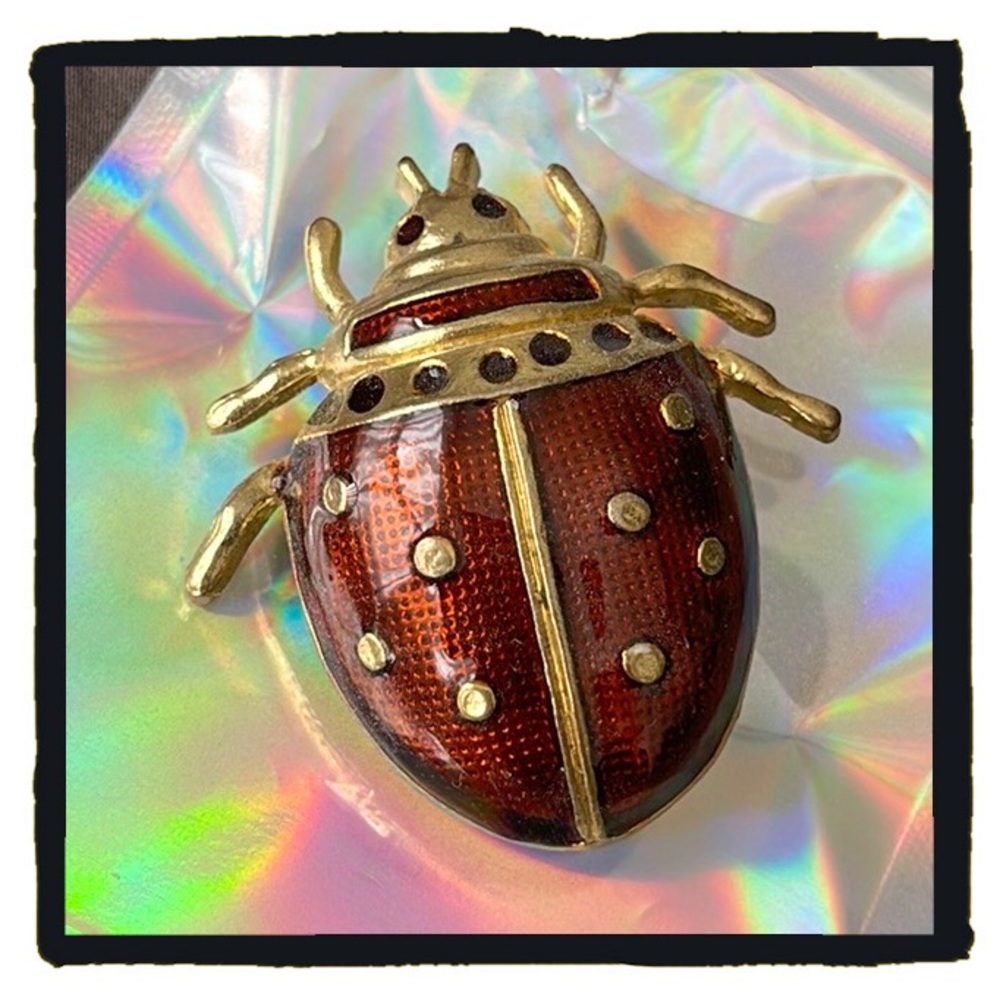 💕Super Cute Vintage June Bug Brooch / Pin💕